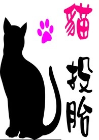 猫猫